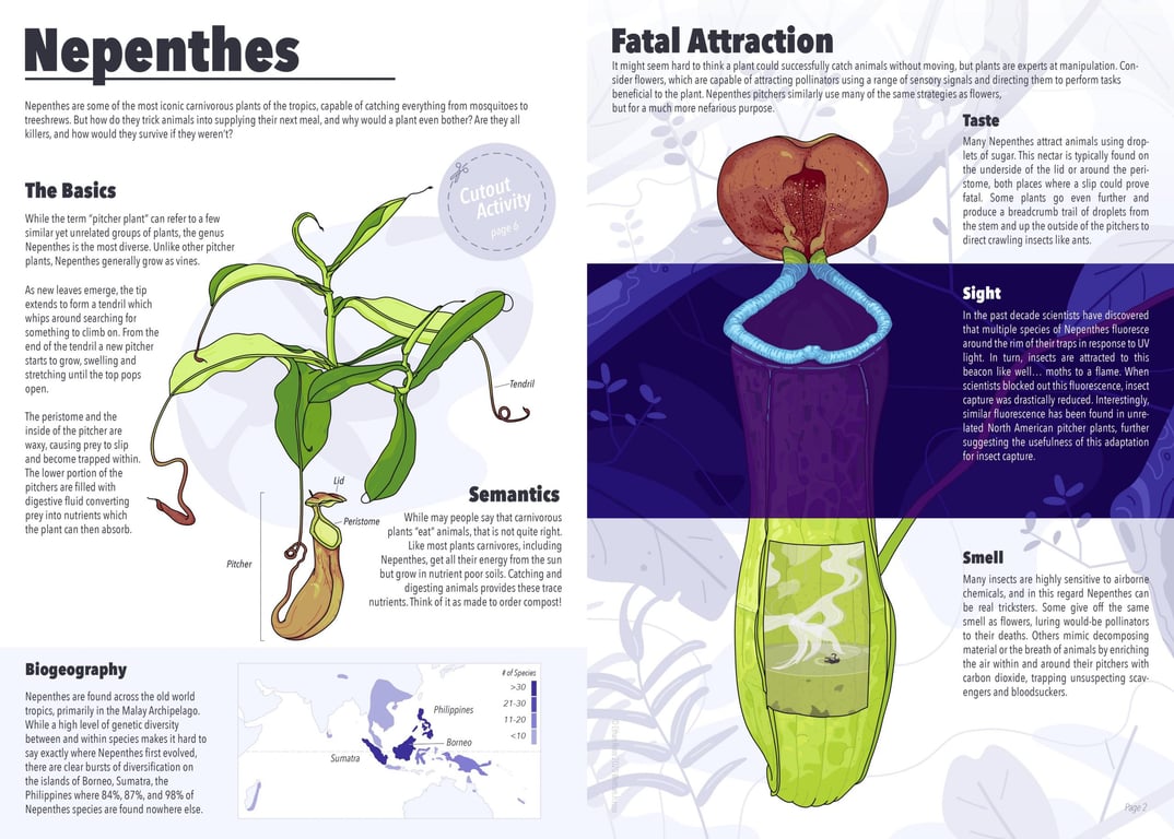 Ethan Roos Nepenthes Infographic