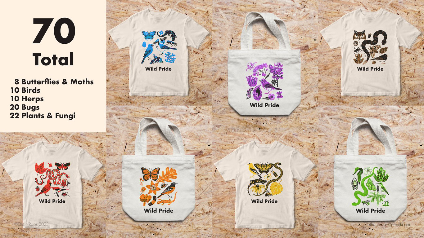 Ethan Roos Pride Illustration Pack Merch