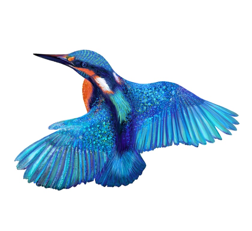 Cathy Whittall Kingfisher in Flight