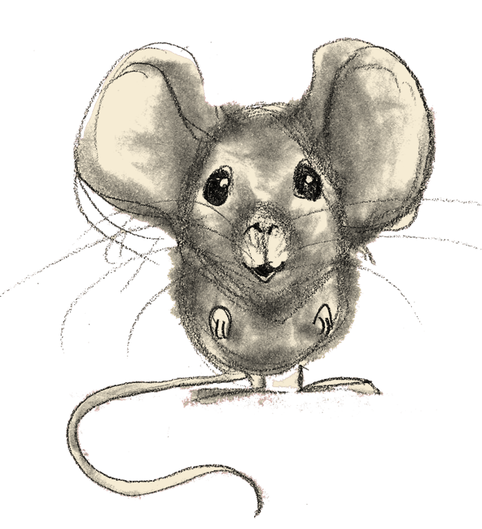 Jacinta Read moonmouse 4