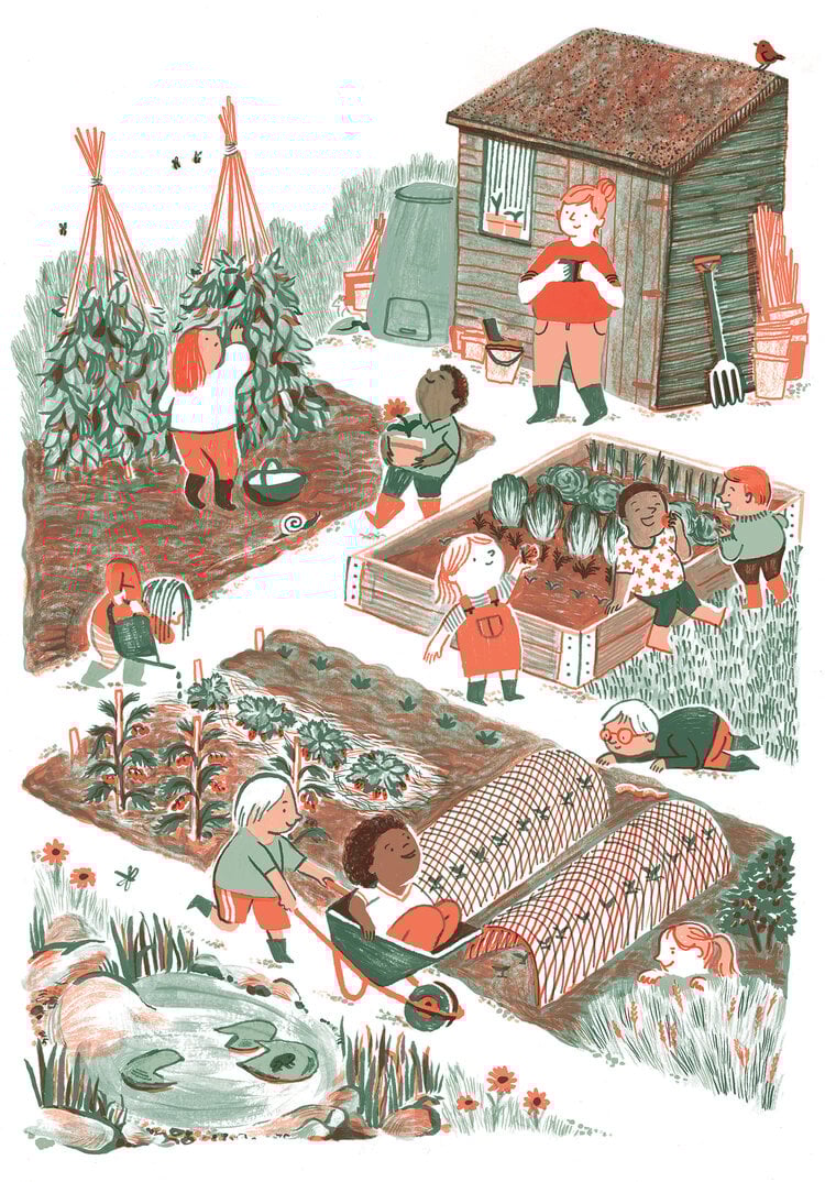 Hayley Wells Allotment