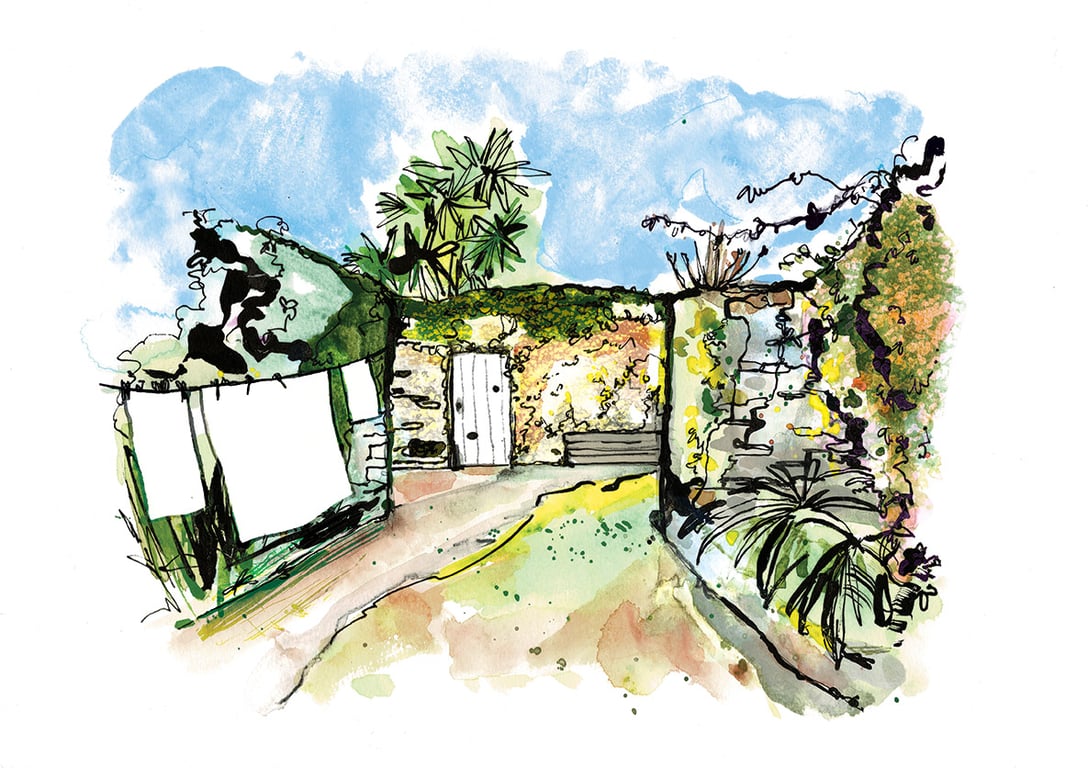 Eva Kelly Cork Garden