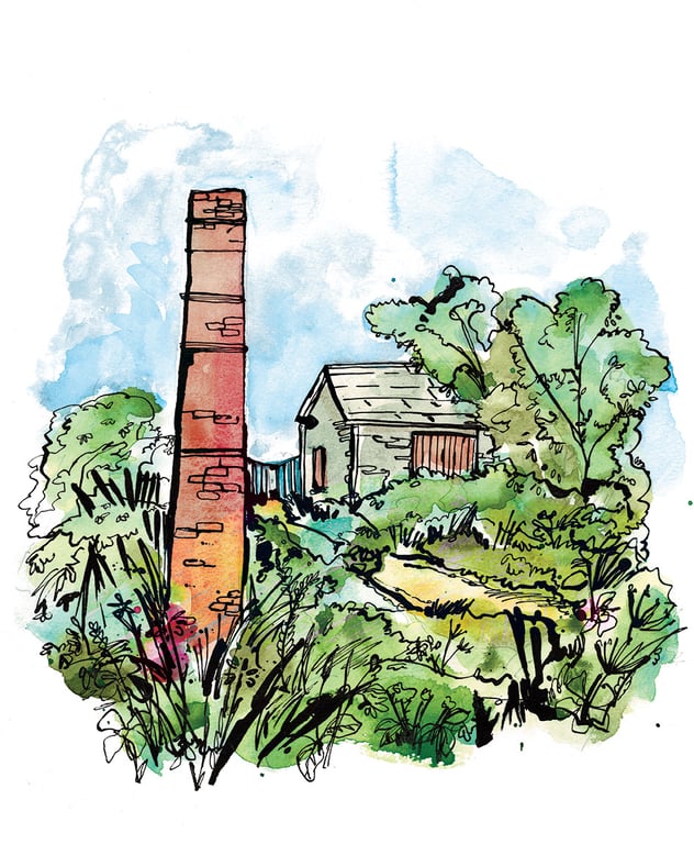 Eva Kelly Saggart Mills