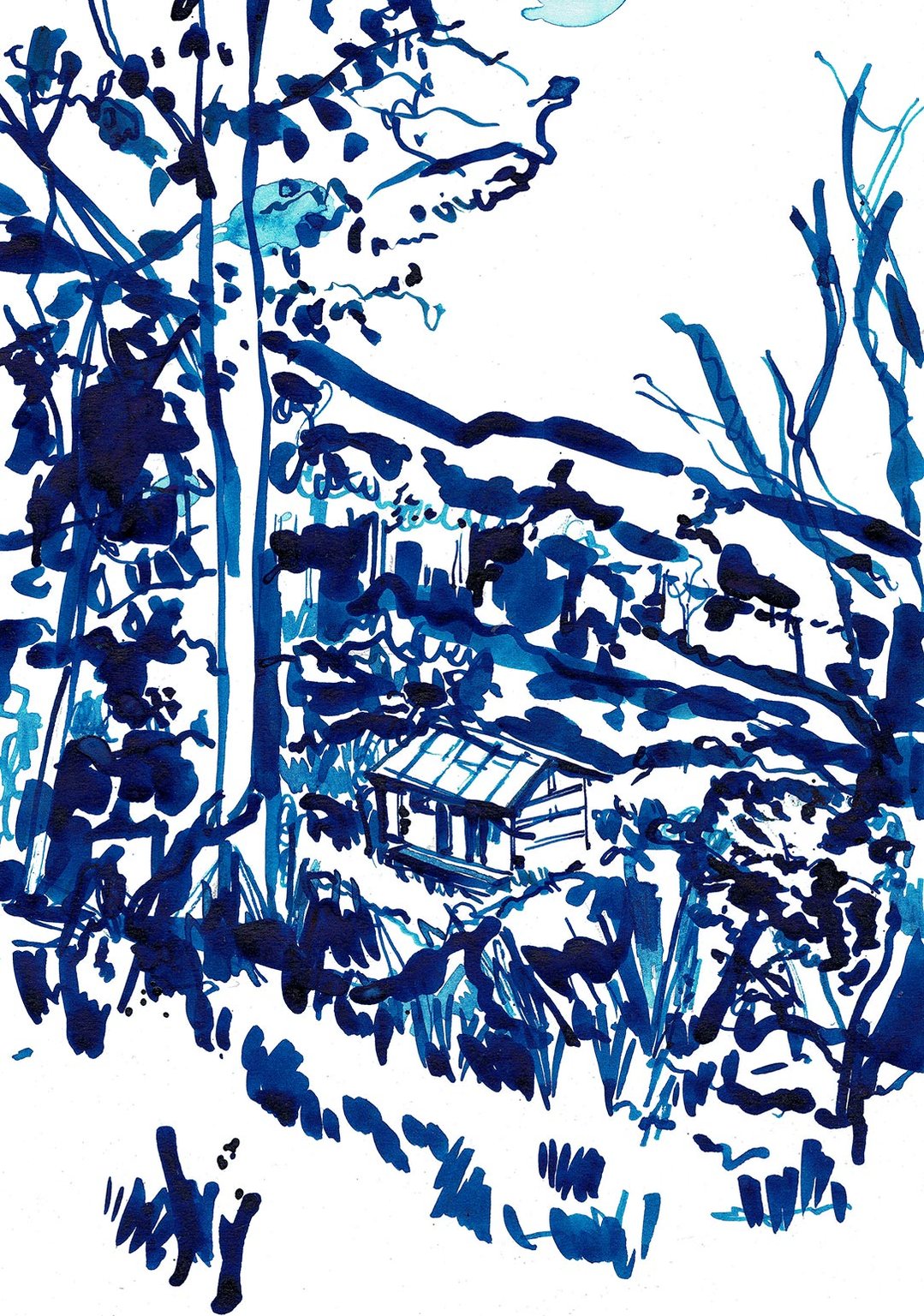 Eva Kelly Blue House