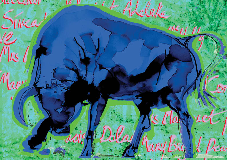 Eva Kelly Bull