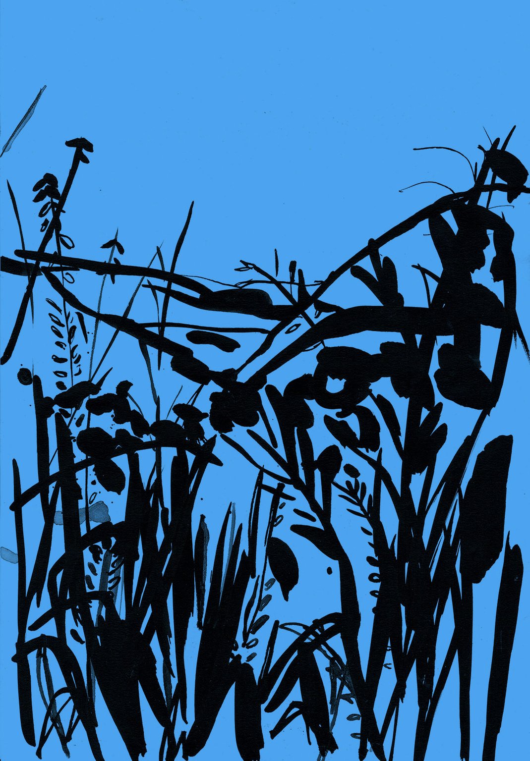 Eva Kelly Ink Grasses