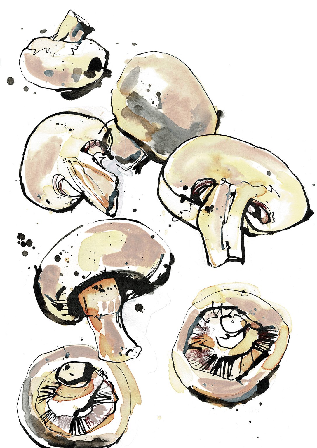Eva Kelly Mushrooms