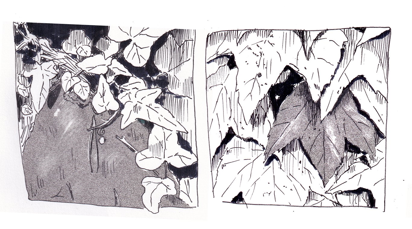 Cinnastray Foliage Study