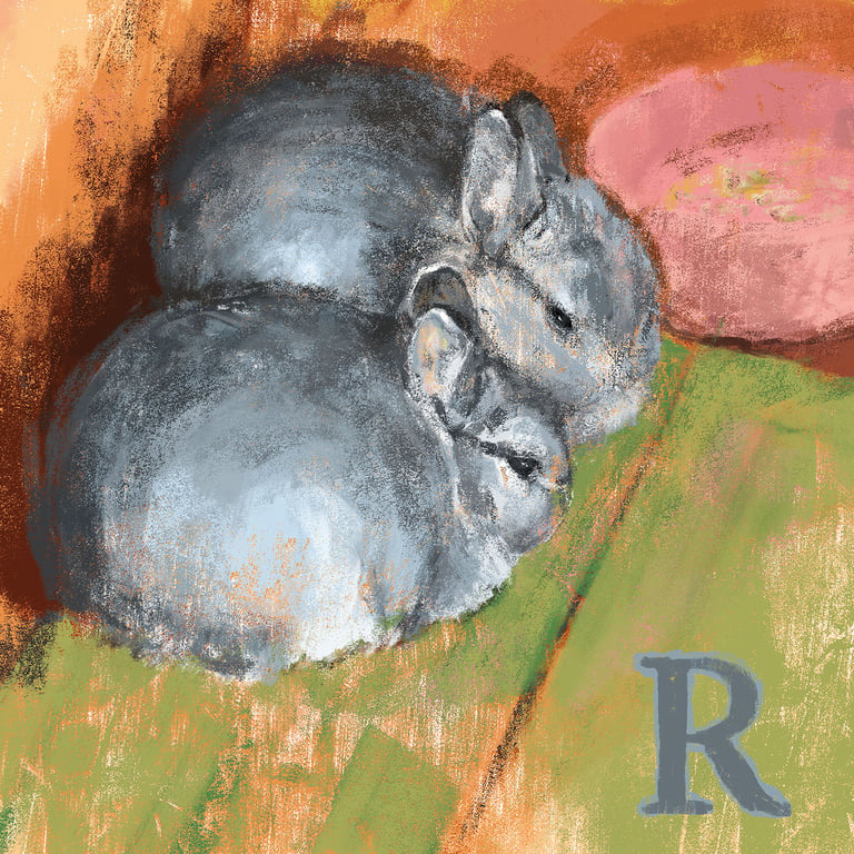 Tanya Cornish Pet rabbits