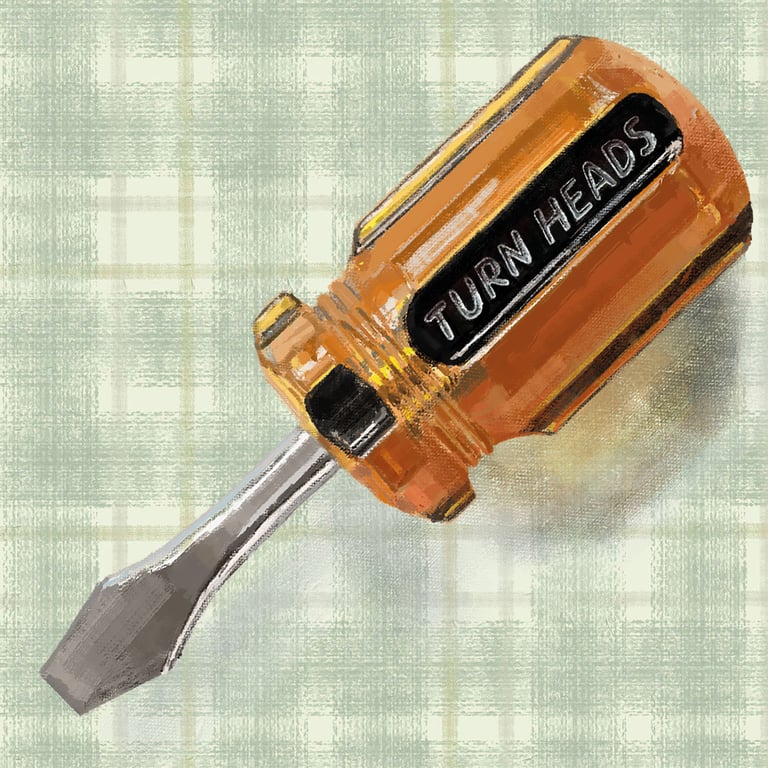 Tanya Cornish ‘Turn heads’ screwdriver
