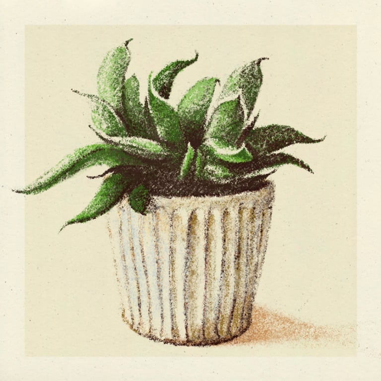 Tanya Cornish Houseplant ilustration