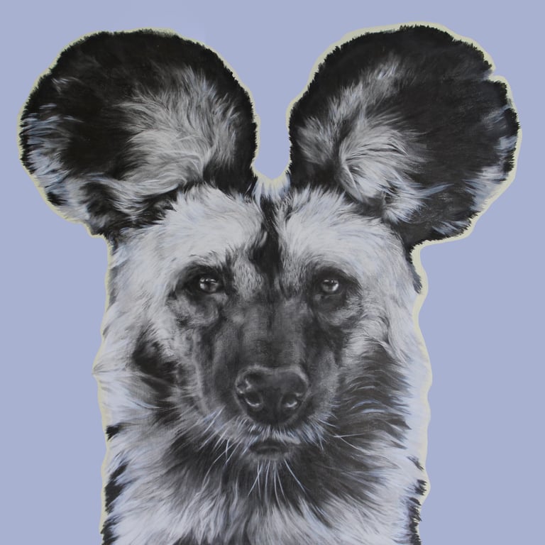ABBIE HULSON African dog