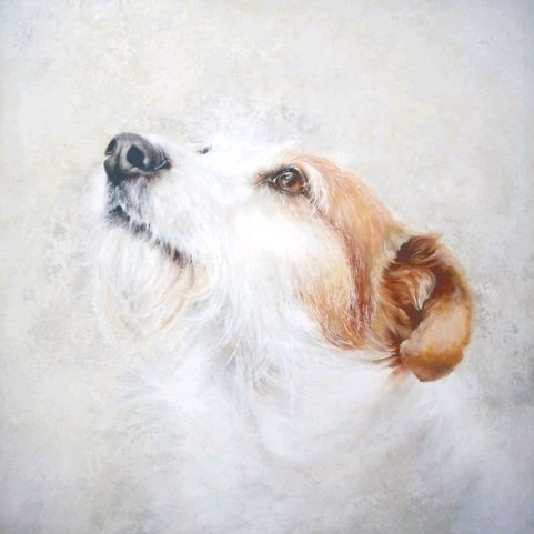 ABBIE HULSON Fizz