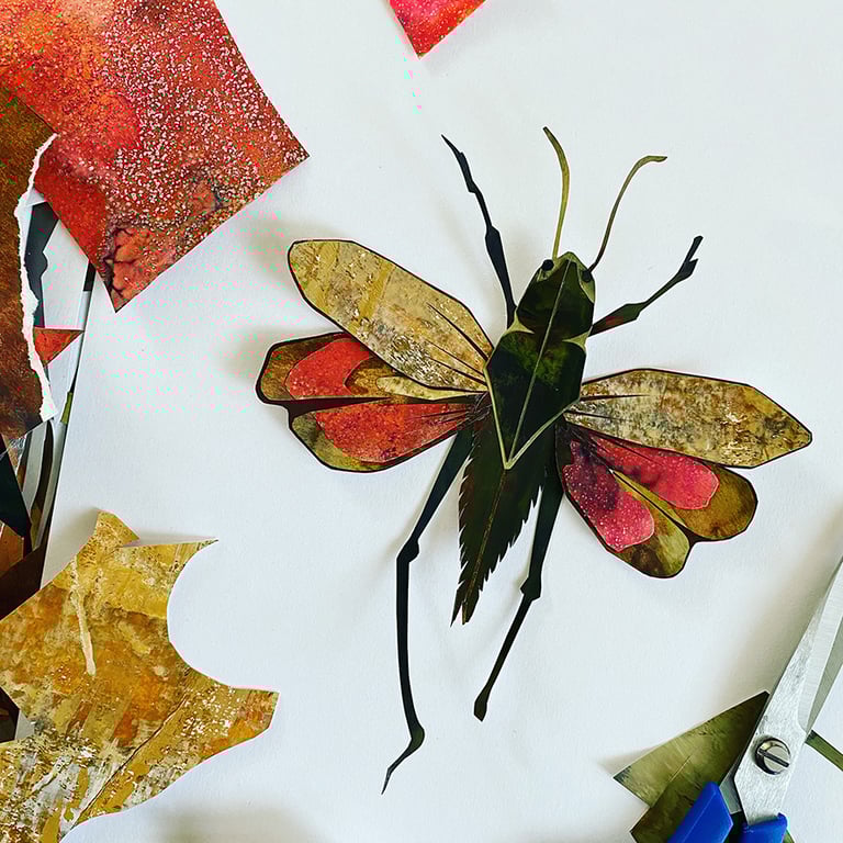 Fiona McTaggart Pink Moth