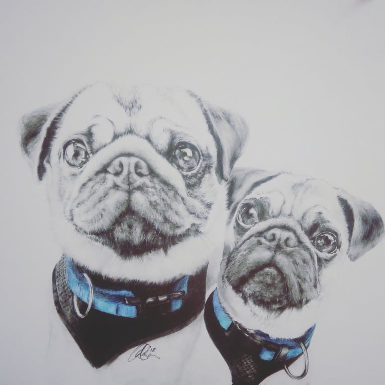 ABBIE HULSON PugPug2017a