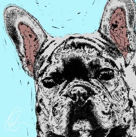 ABBIE HULSON SILKSCREEN