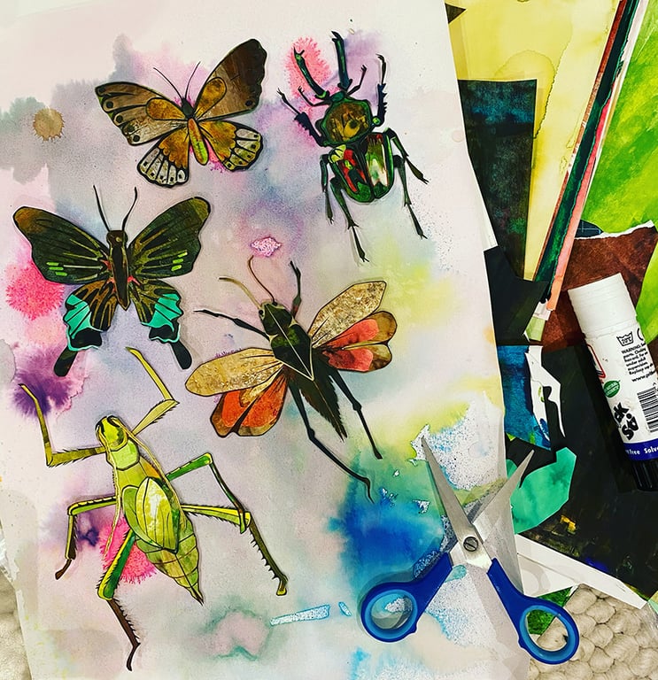 Fiona McTaggart Selection of bugs