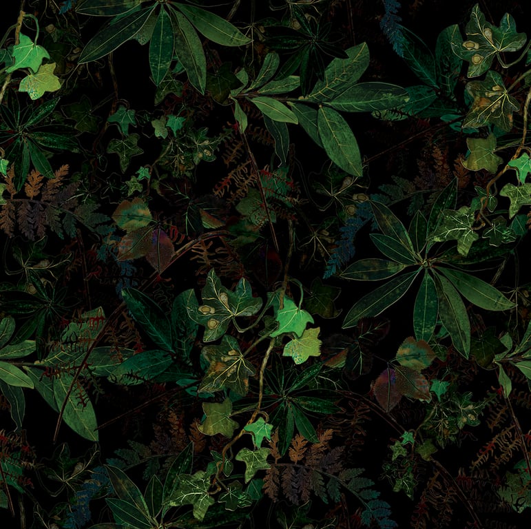 Fiona McTaggart Undergrowth