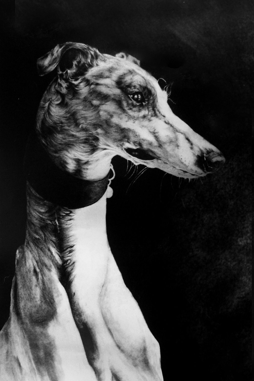 ABBIE HULSON Grey
