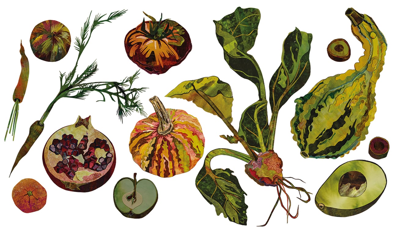 Fiona McTaggart Veg Collages