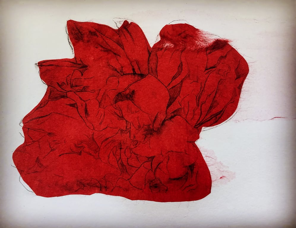 Lois Pawson Blood Red Rose