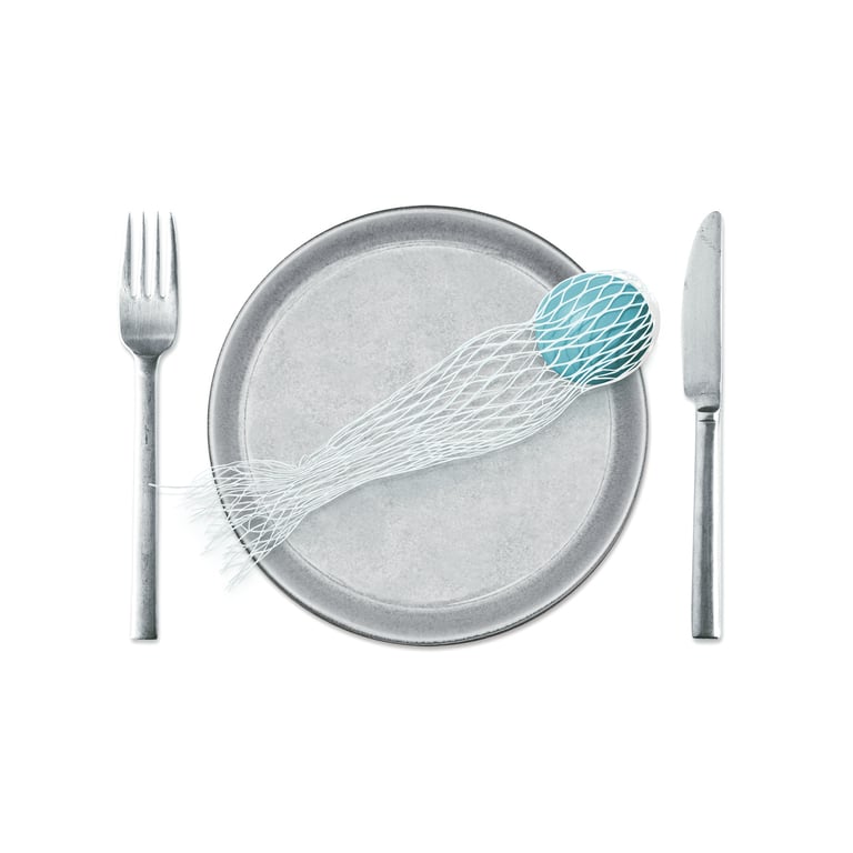 Mariaelena Caputi There Is Plastic In Your Fish