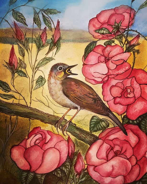 Lois Pawson Nightingale to the Rose