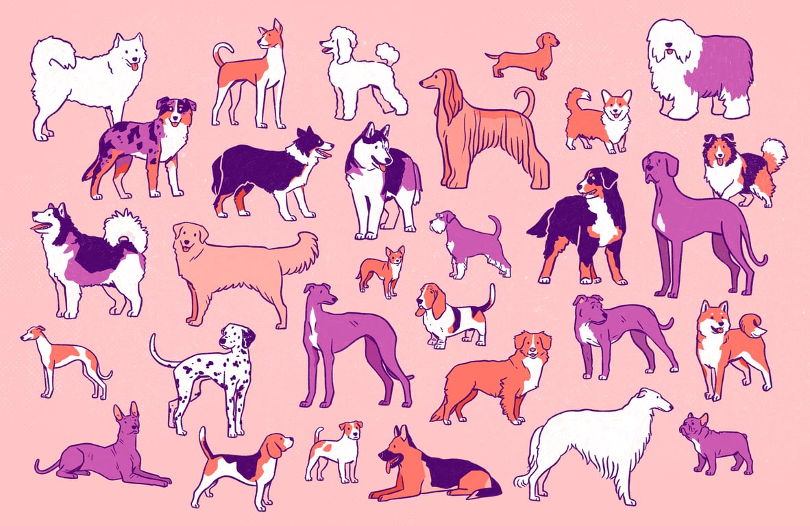 Jess Jenkins Dog Breeds