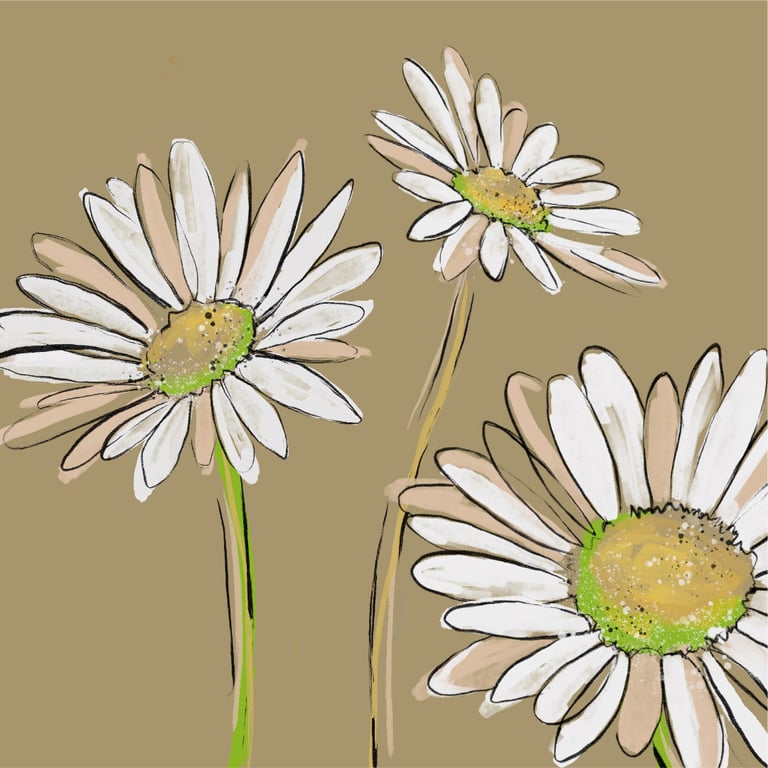 Kirsty Todd KTE014 OX EYE DAISY
