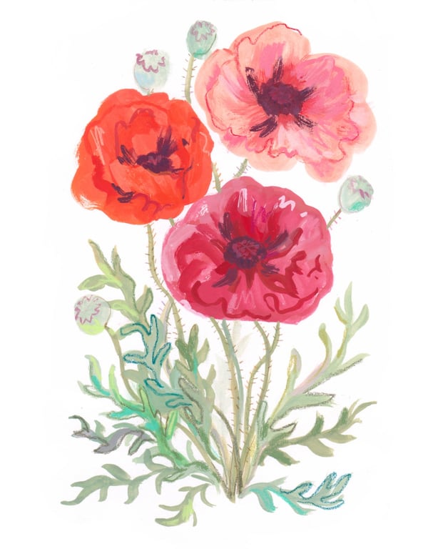 Louise Gouet Poppies