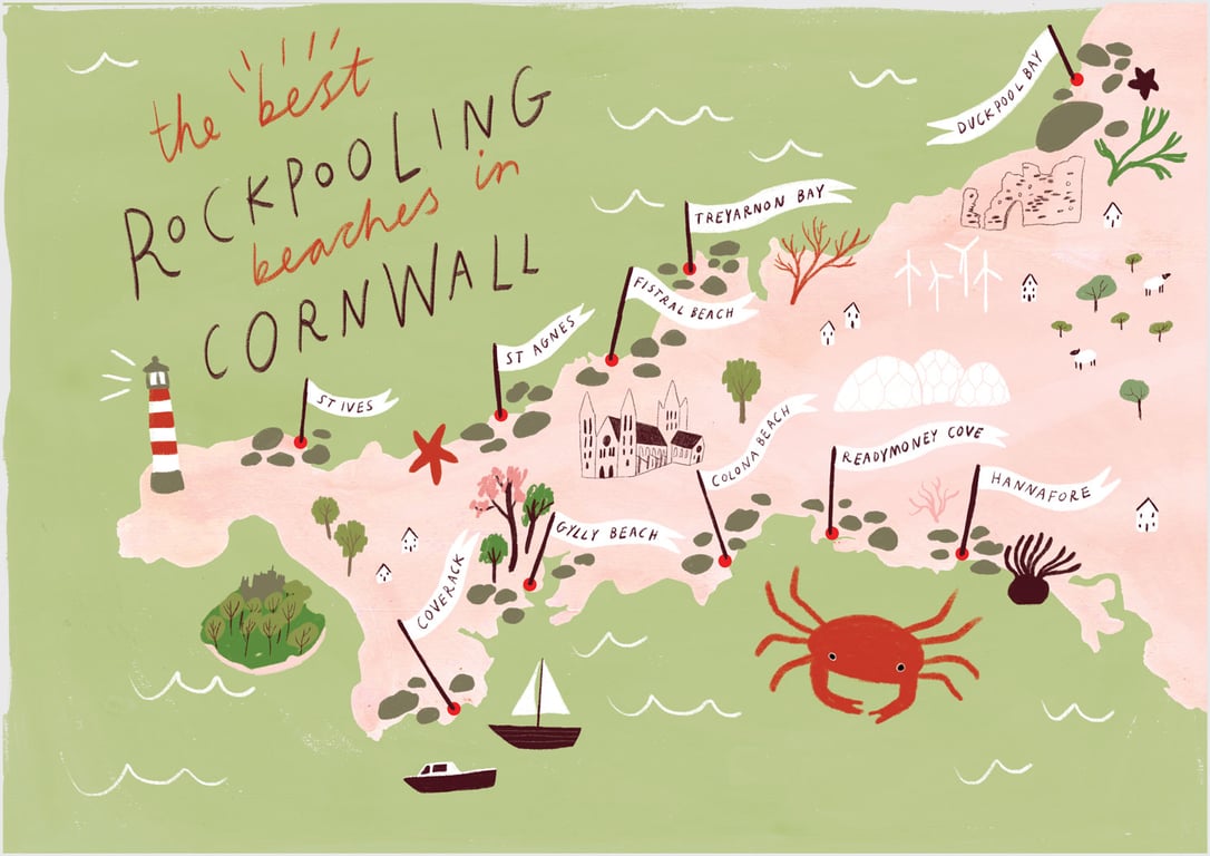 Louise Gouet Cornish Rockpool Map