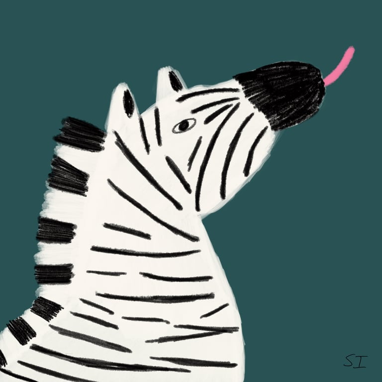 Suhayla Ibrahim Zebra Antics