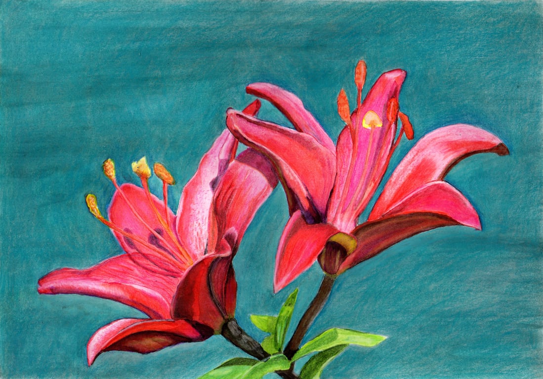 Cerian York Red Lilies