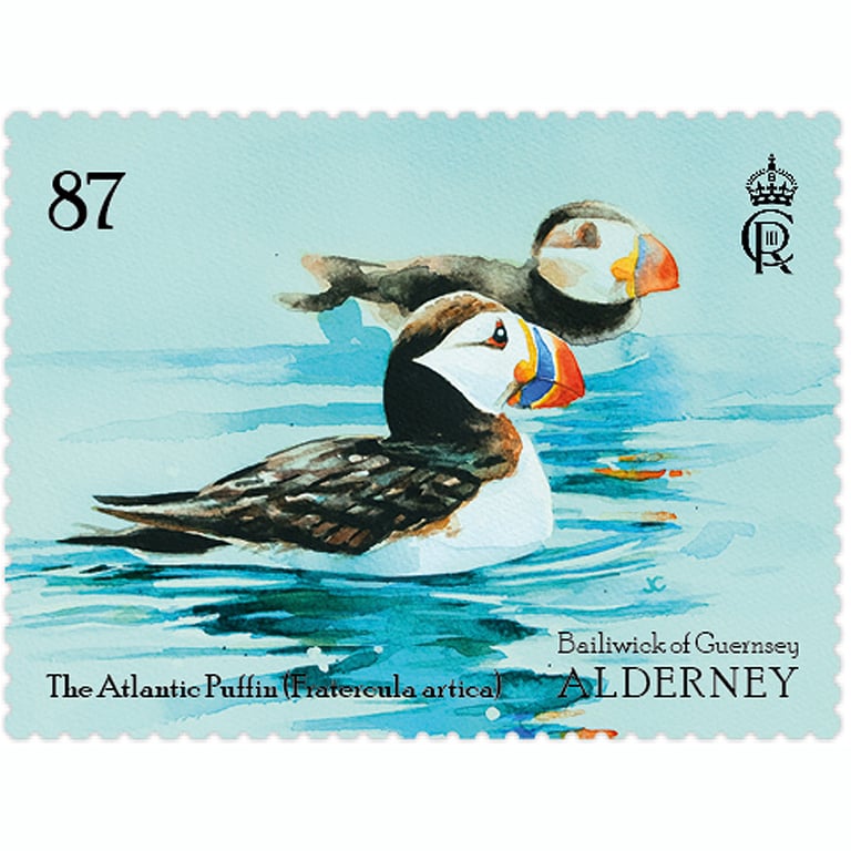 James Colmer Bobbing-puffins-87p