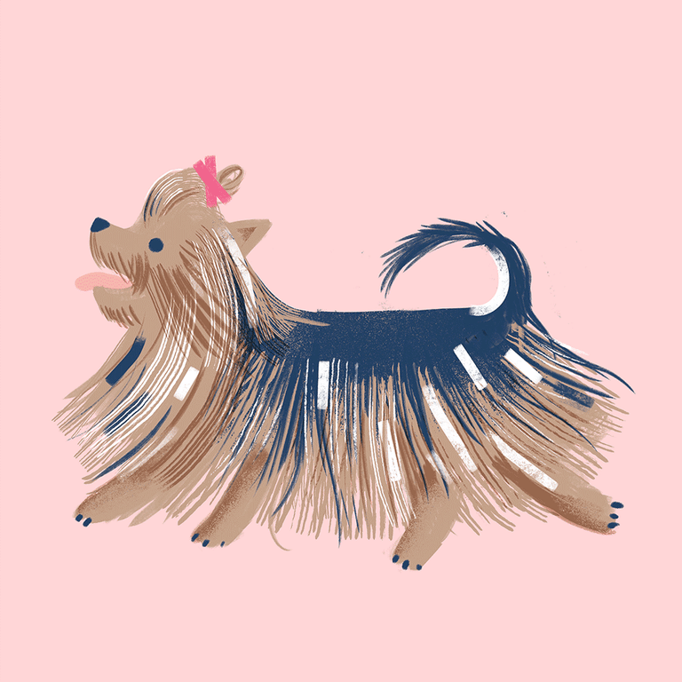 Alissa Thaler Dogs