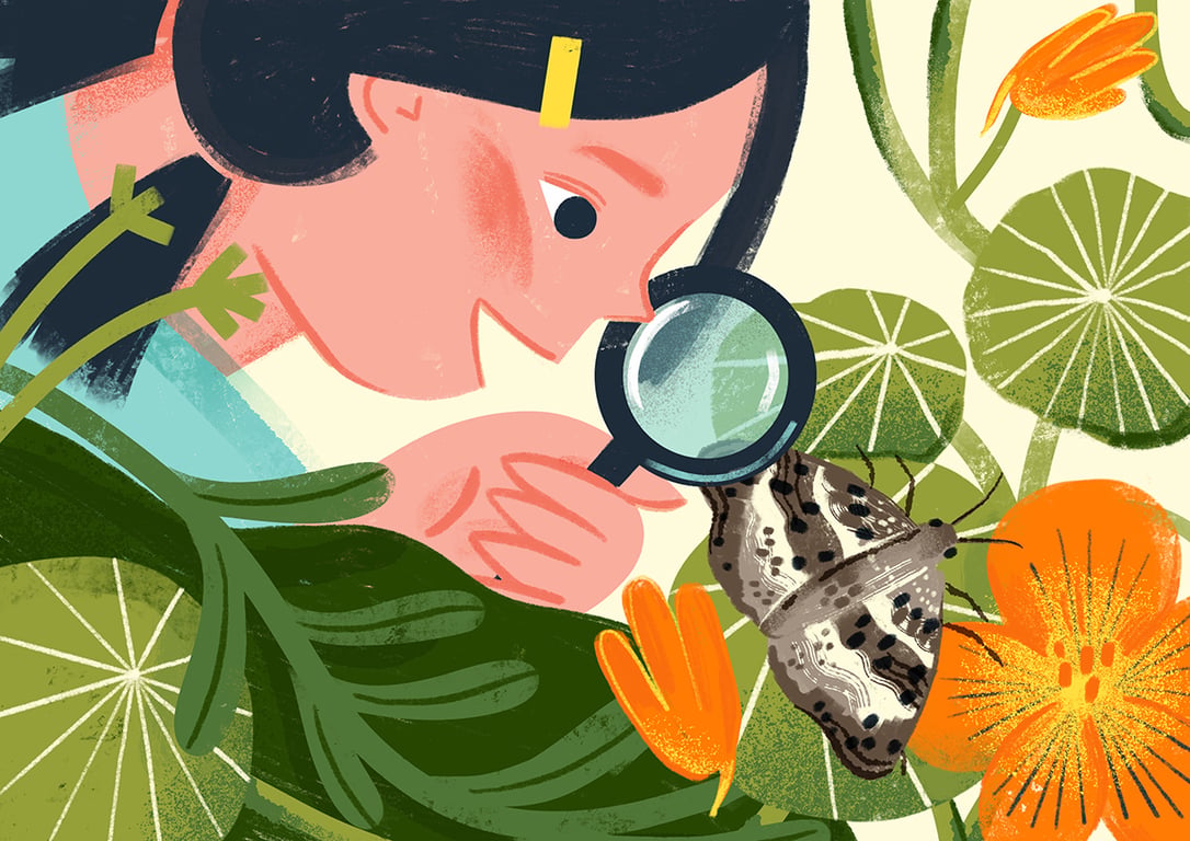 Our Whimsical World - Curated by DK Children's Publishing There’s a zoo in my garden