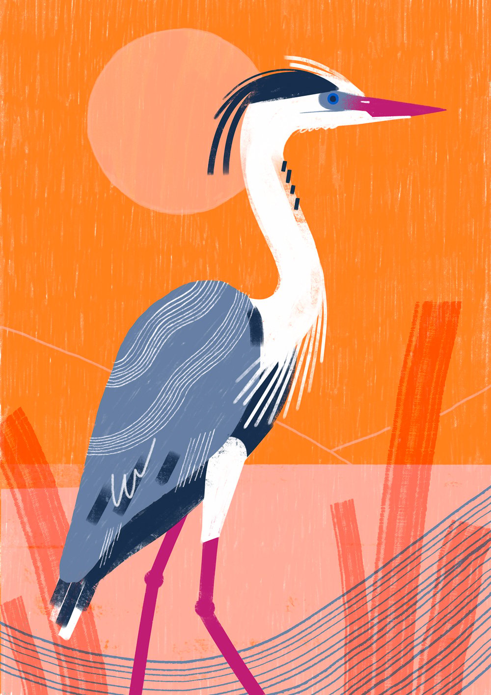 Alissa Thaler Hanham heron