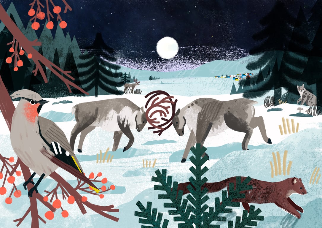 Alissa Thaler Nordic_Winter-night
