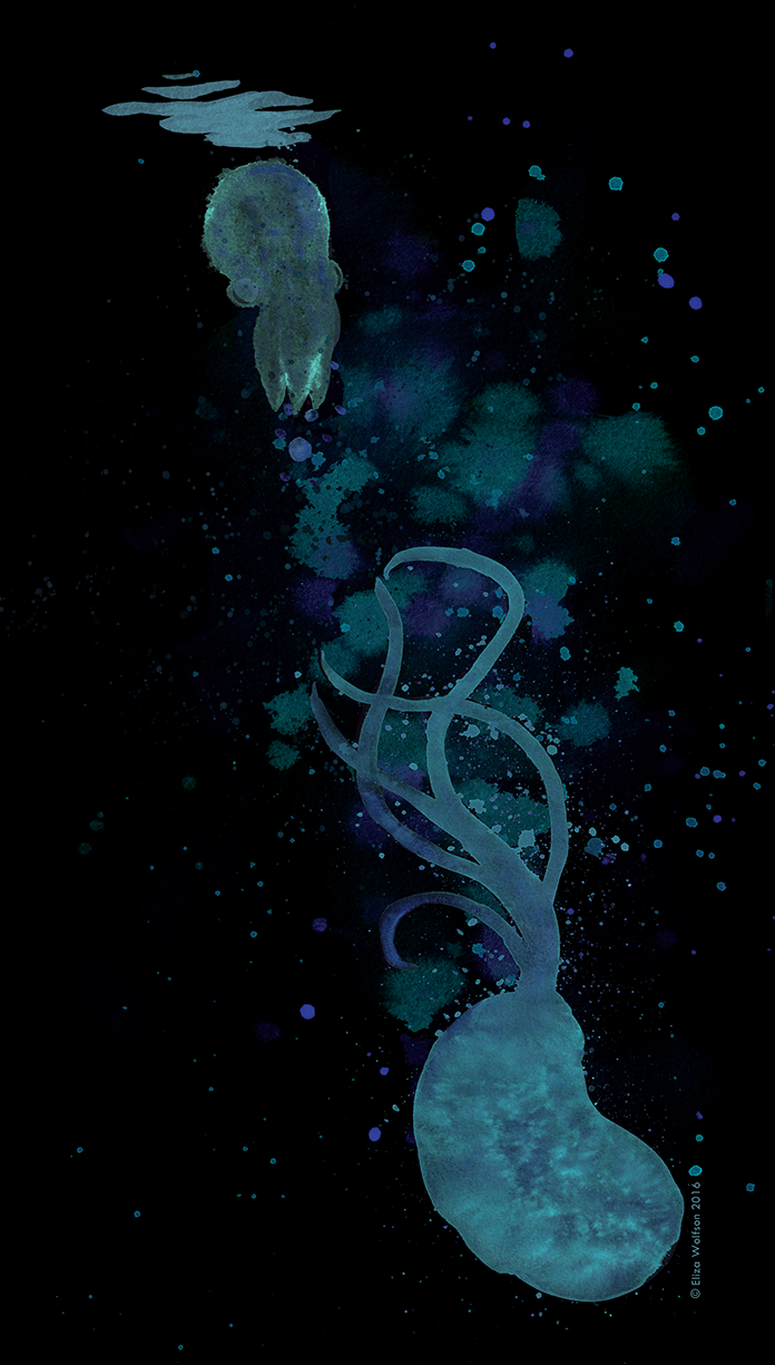 Eliza Wolfson Symbiosis