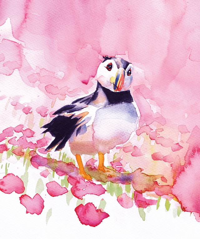 James Colmer pink-Puffin-fly-DSCF5405-rgb-portrait