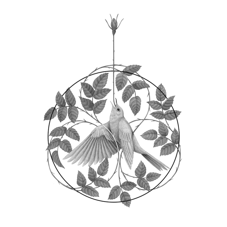 Erne Vigo The Nightingale and the Rose