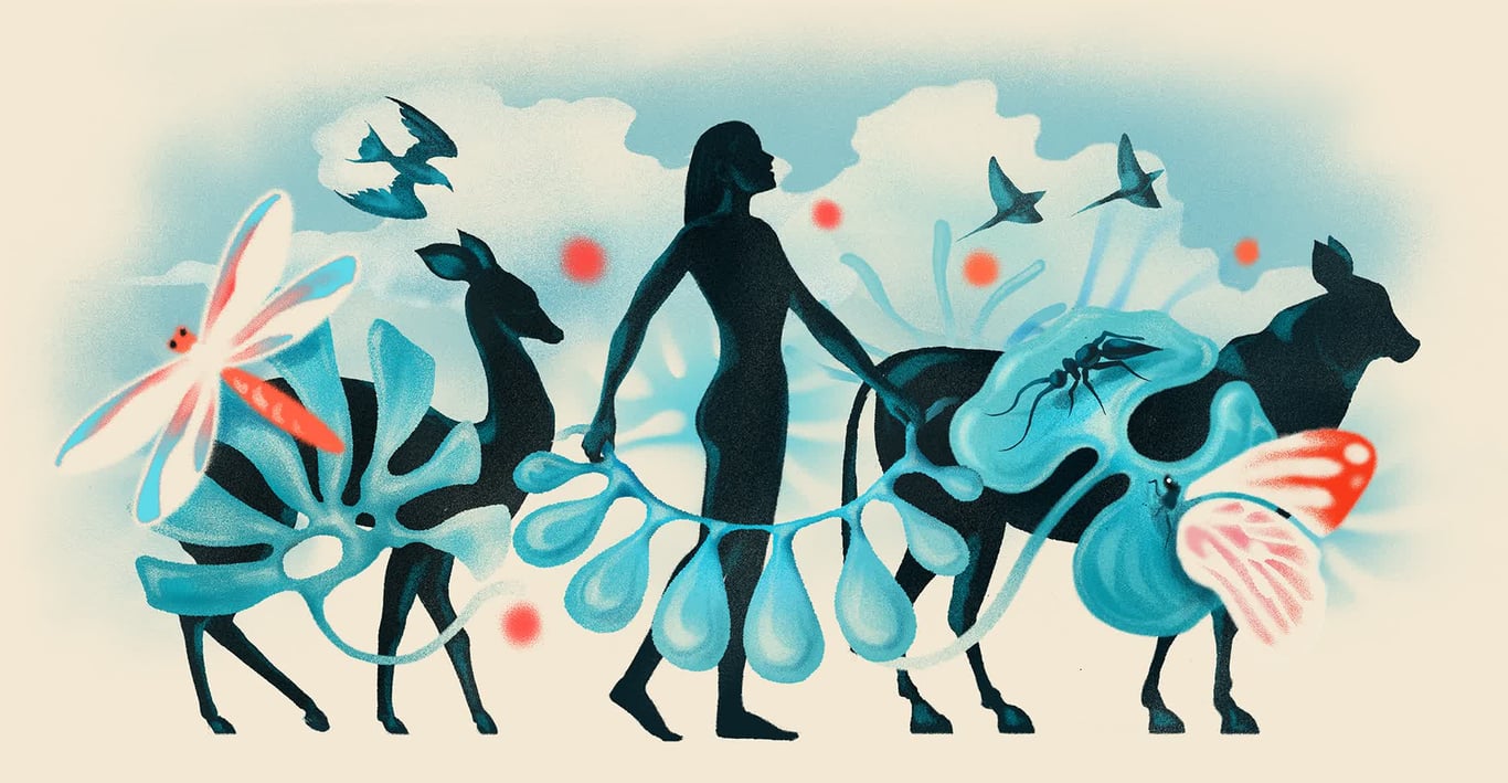 Eoin Ryan Anthropocene Ethics 1 : Sojourners Magazine