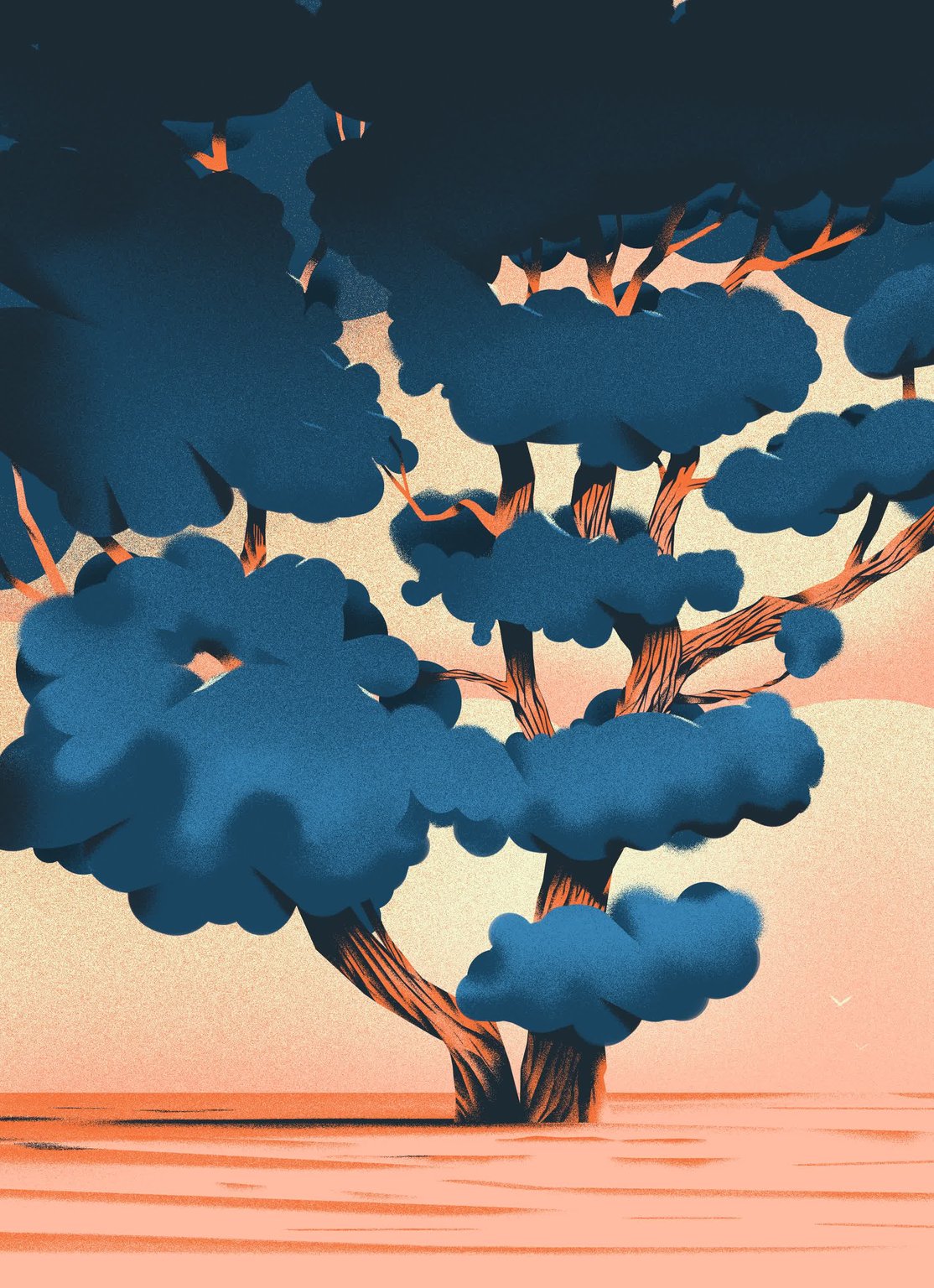 Clément Barbé Tree : Personal work