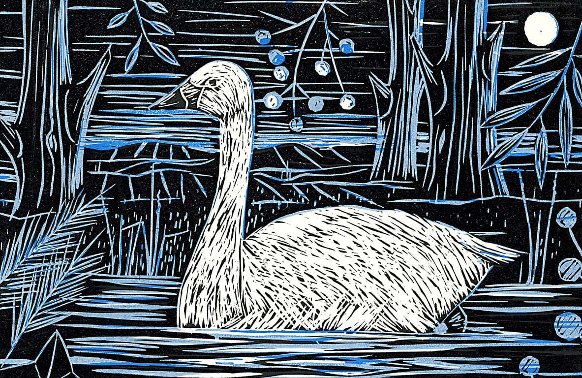 Helen Bryant Art black and blue swan20251111_18300409