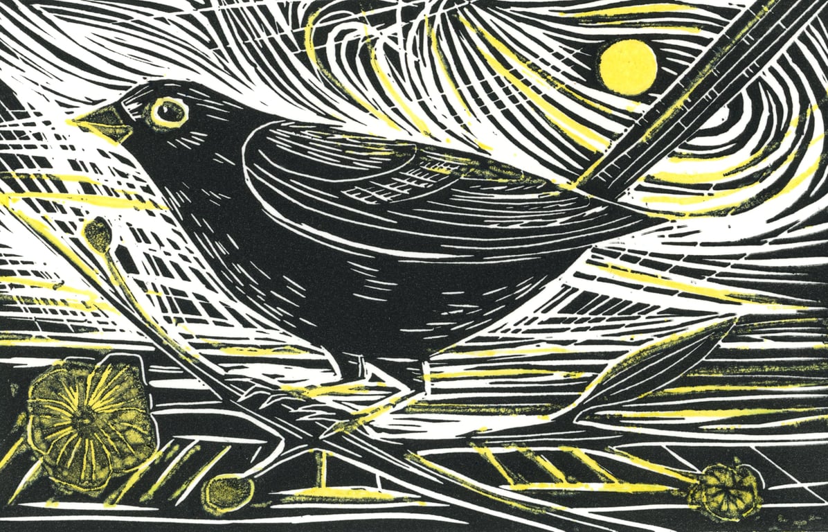 Helen Bryant Art blackbird and sun20251111_18324163