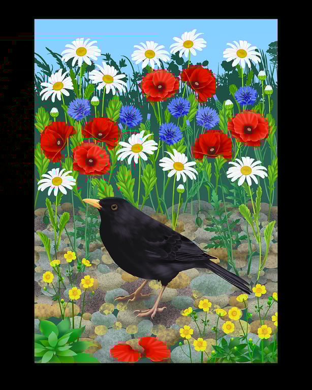 Cathy Simpson Blackbird