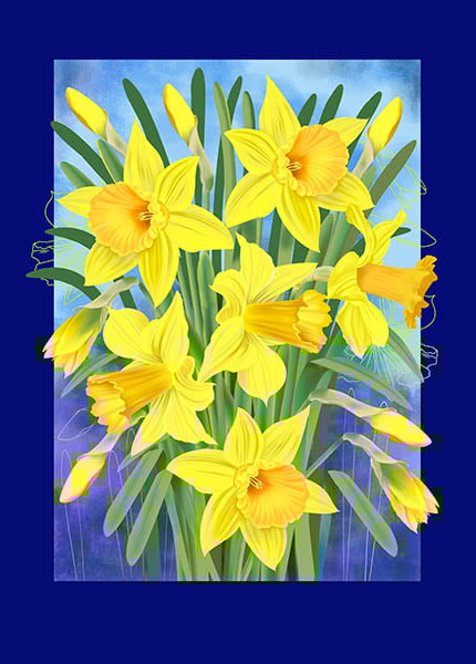 Cathy Simpson Daffodils