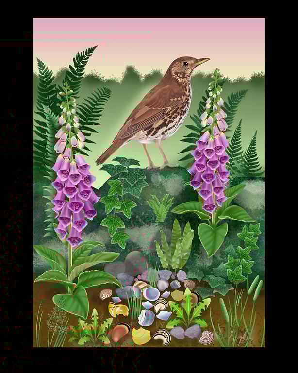 Cathy Simpson Songthrush