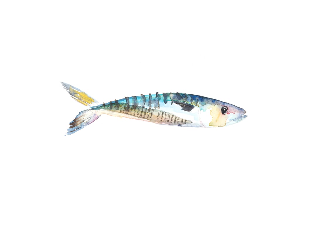 Sarah Dowling Mackerel