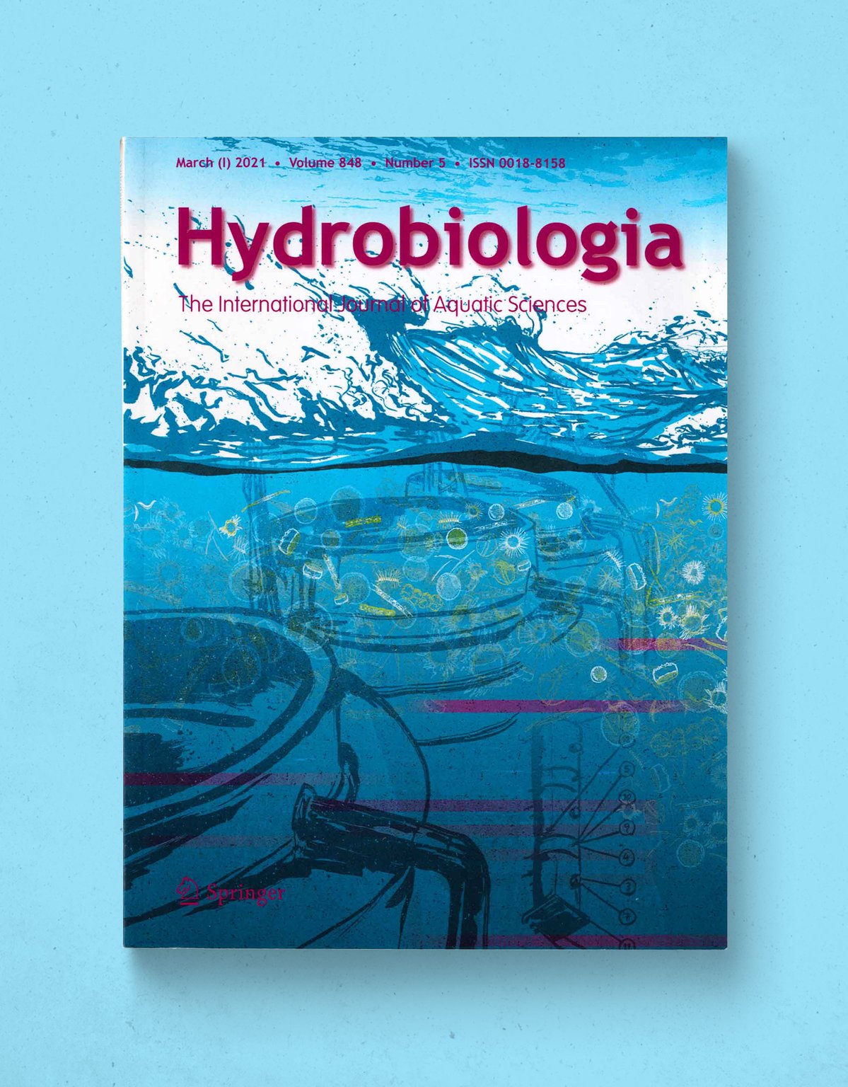 SLM Illustration - Scott Luís Masson Hydrobiologia Journal